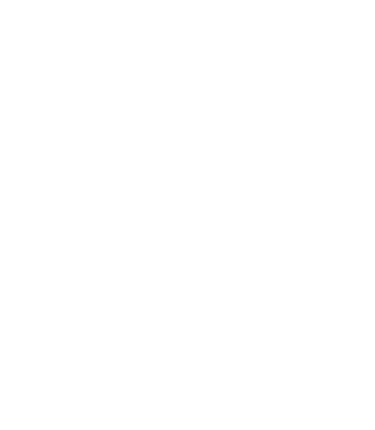 Hybrid Life Insurance